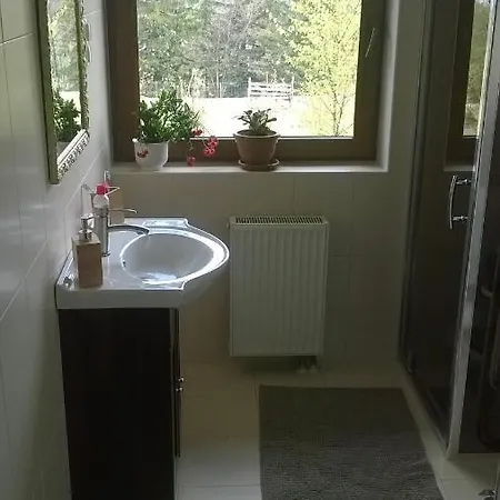 Dom Zacisze Gor 3 Sypialnie,salon Z Kominkiem,4 Km Karpacz Willa Borowice